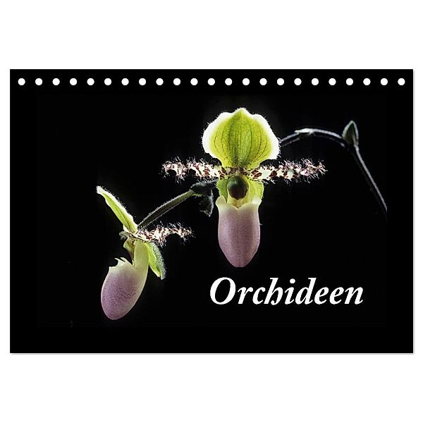 Orchideen 2024 (Tischkalender 2024 DIN A5 quer), CALVENDO Monatskalender, kleber©gagelart