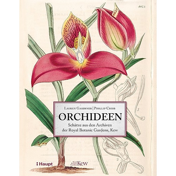Orchideen, Lauren Gardiner, Phillip Cribb
