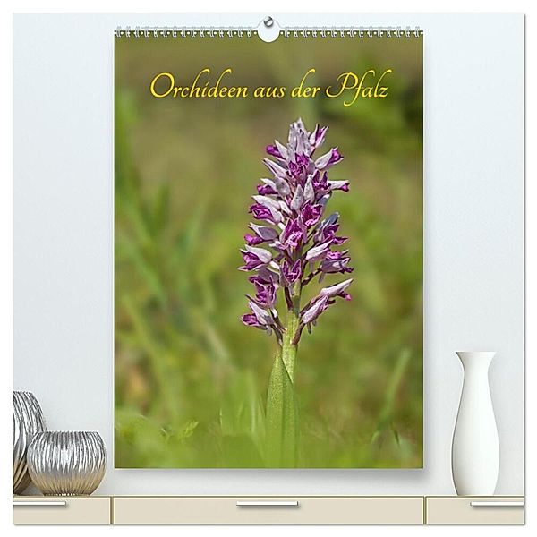 Orchideen aus der Pfalz (hochwertiger Premium Wandkalender 2024 DIN A2 hoch), Kunstdruck in Hochglanz, Juehust