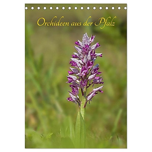 Orchideen aus der Pfalz (Tischkalender 2024 DIN A5 hoch), CALVENDO Monatskalender, Juehust