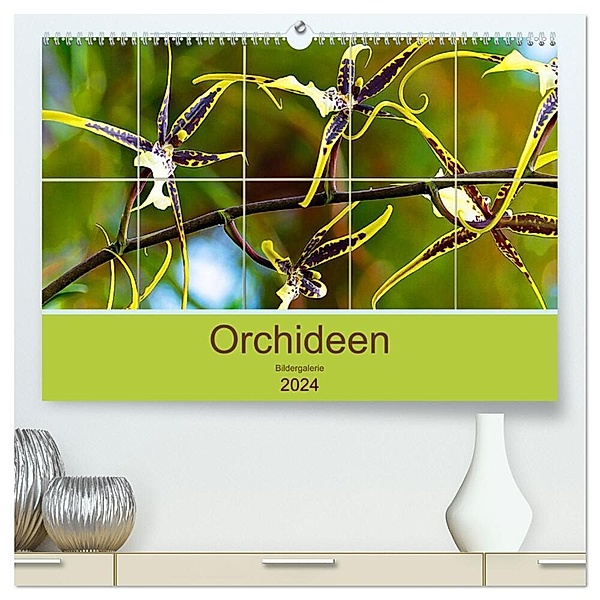 Orchideen Bildergalerie (hochwertiger Premium Wandkalender 2024 DIN A2 quer), Kunstdruck in Hochglanz, Nina Schwarze