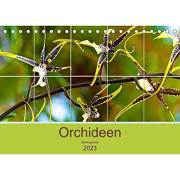 Orchideen Bildergalerie (Tischkalender 2023 DIN A5 quer), Nina Schwarze