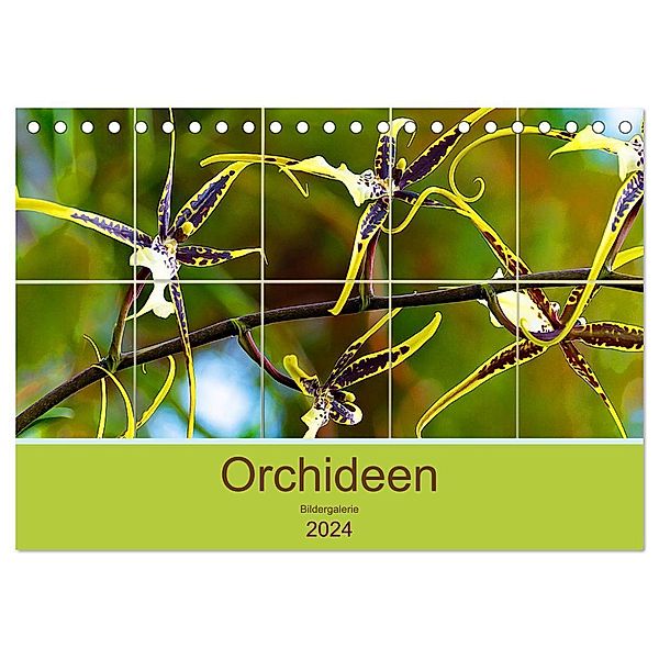 Orchideen Bildergalerie (Tischkalender 2024 DIN A5 quer), CALVENDO Monatskalender, Nina Schwarze
