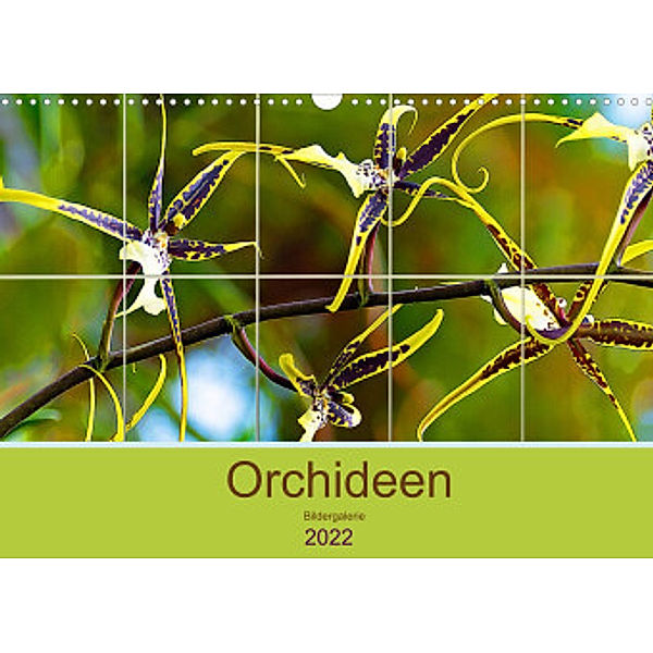 Orchideen Bildergalerie (Wandkalender 2022 DIN A3 quer), Nina Schwarze
