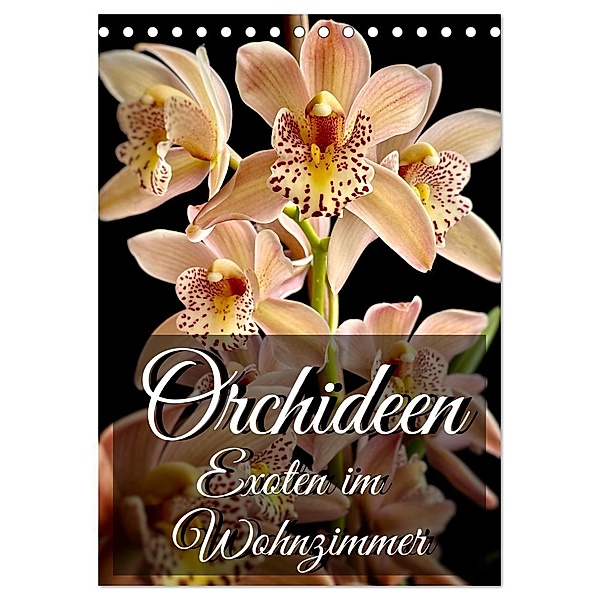Orchideen - Exoten im Wohnzimmer (Tischkalender 2024 DIN A5 hoch), CALVENDO Monatskalender, Anita Will