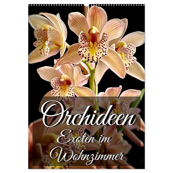 Orchideen - Exoten im Wohnzimmer (Wandkalender 2024 DIN A2 hoch), CALVENDO Monatskalender, Anita Will