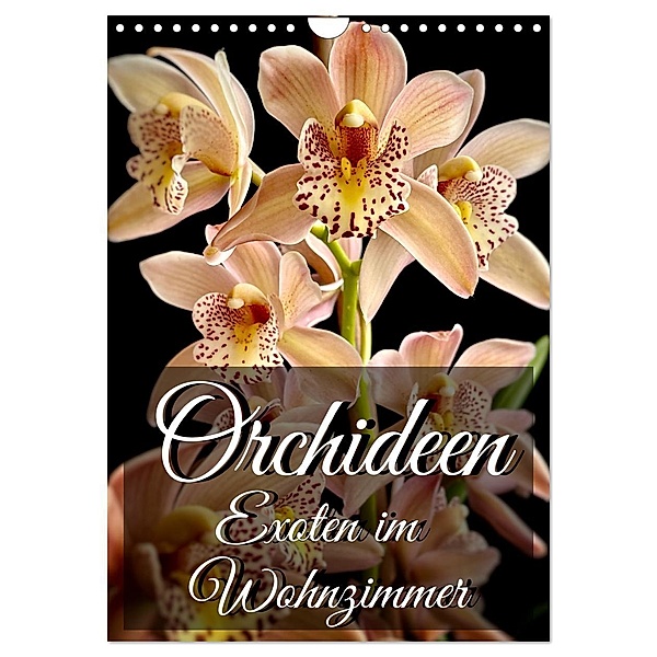 Orchideen - Exoten im Wohnzimmer (Wandkalender 2024 DIN A4 hoch), CALVENDO Monatskalender, Anita Will