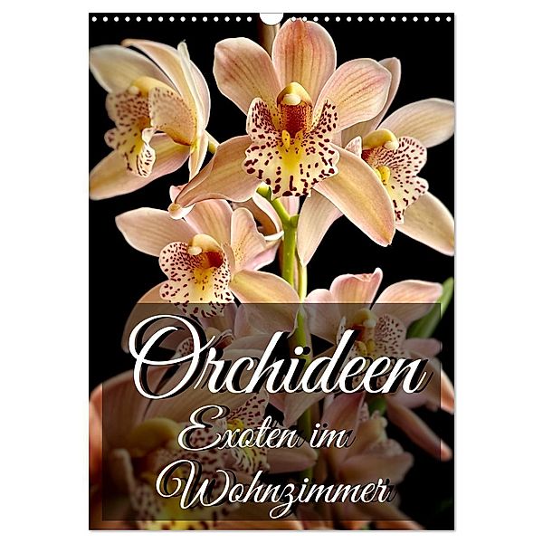 Orchideen - Exoten im Wohnzimmer (Wandkalender 2024 DIN A3 hoch), CALVENDO Monatskalender, Anita Will