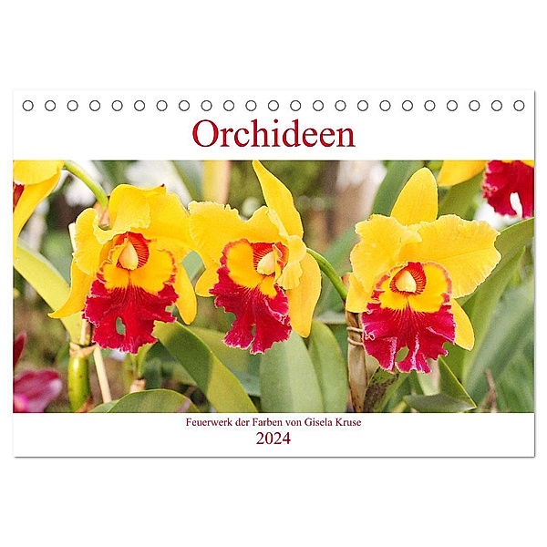 Orchideen Feuerwerk der Farben (Tischkalender 2024 DIN A5 quer), CALVENDO Monatskalender, Gisela Kruse