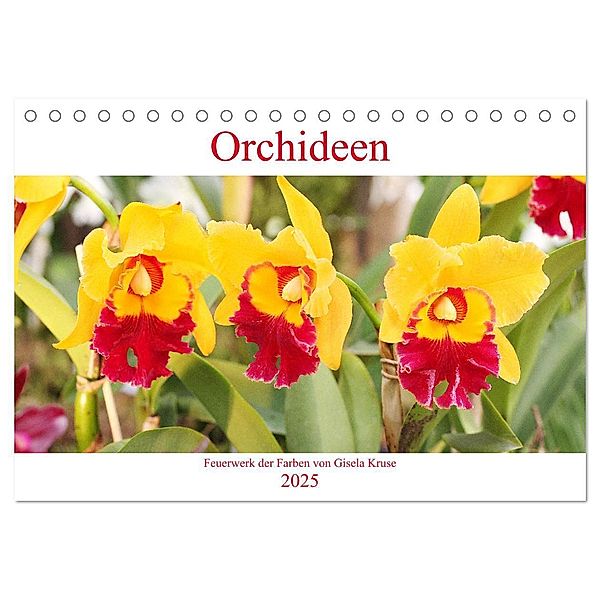 Orchideen Feuerwerk der Farben (Tischkalender 2025 DIN A5 quer), CALVENDO Monatskalender, Calvendo, Gisela Kruse