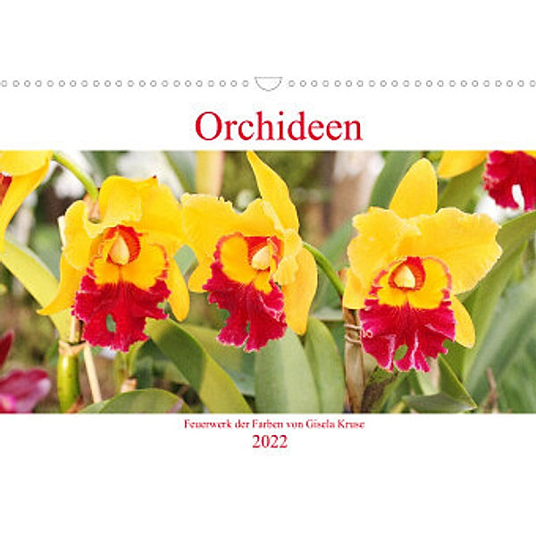 Orchideen Feuerwerk der Farben (Wandkalender 2022 DIN A3 quer), Gisela Kruse