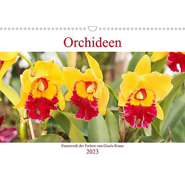 Orchideen Feuerwerk der Farben (Wandkalender 2023 DIN A3 quer), Gisela Kruse