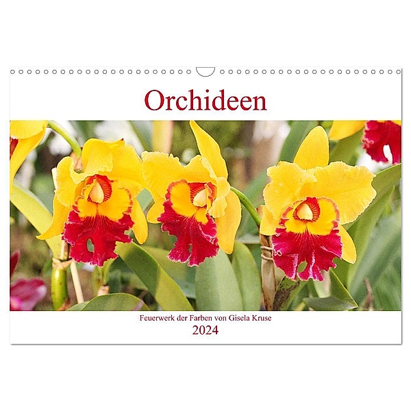 Orchideen Feuerwerk der Farben (Wandkalender 2024 DIN A3 quer), CALVENDO Monatskalender, Gisela Kruse