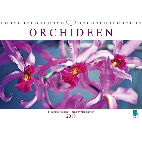 Orchideen: Filigrane Eleganz - prachtvolle Farben (Wandkalender 2018 DIN A4 quer) Dieser erfolgreiche Kalender wurde die, Calvendo