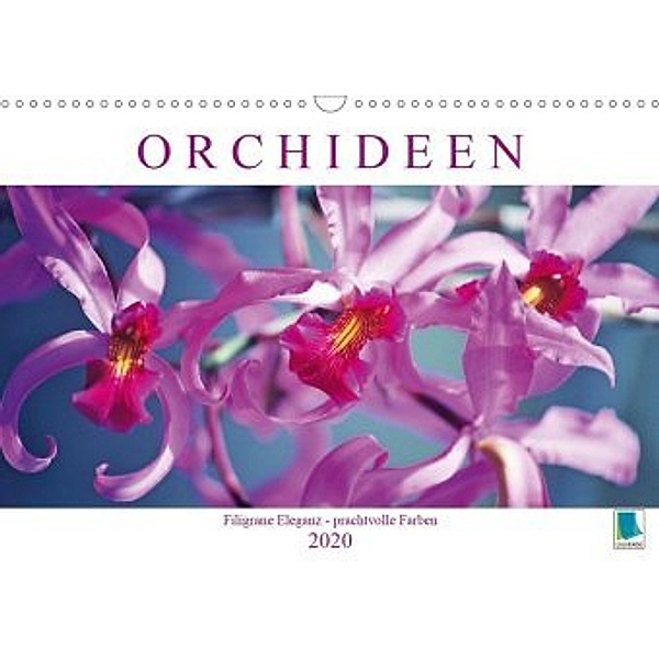 Orchideen: Filigrane Eleganz - prachtvolle Farben (Wandkalender 2020 DIN A3 quer)