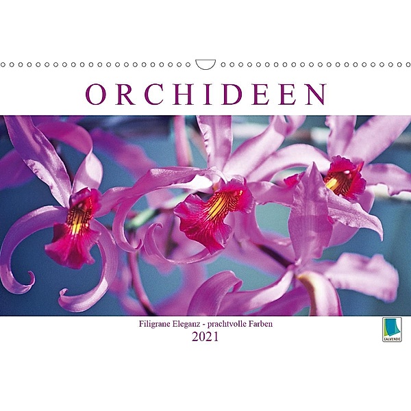Orchideen: Filigrane Eleganz - prachtvolle Farben (Wandkalender 2021 DIN A3 quer), Calvendo