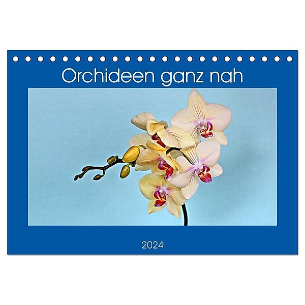 Orchideen ganz nah (Tischkalender 2024 DIN A5 quer), CALVENDO Monatskalender, Günther Geiger