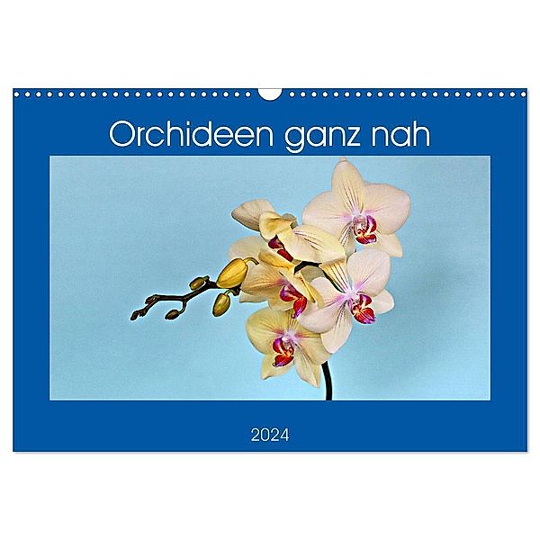 Orchideen ganz nah (Wandkalender 2024 DIN A3 quer), CALVENDO Monatskalender, Günther Geiger