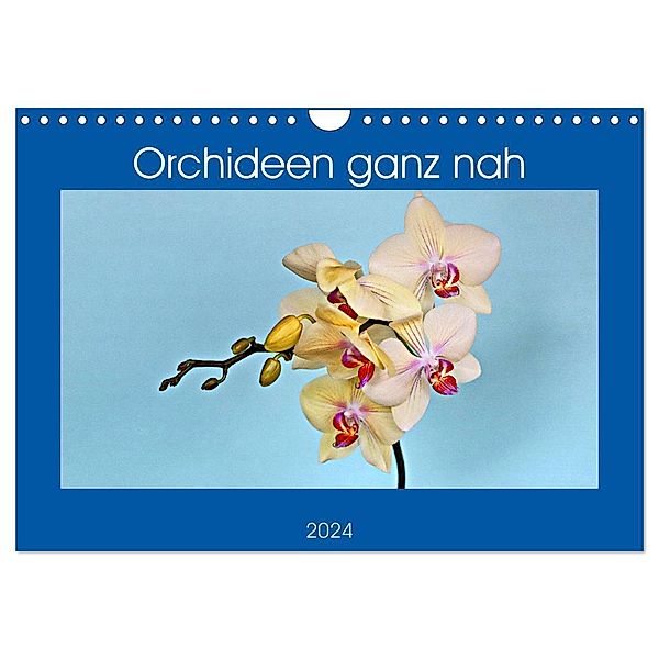 Orchideen ganz nah (Wandkalender 2024 DIN A4 quer), CALVENDO Monatskalender, Günther Geiger