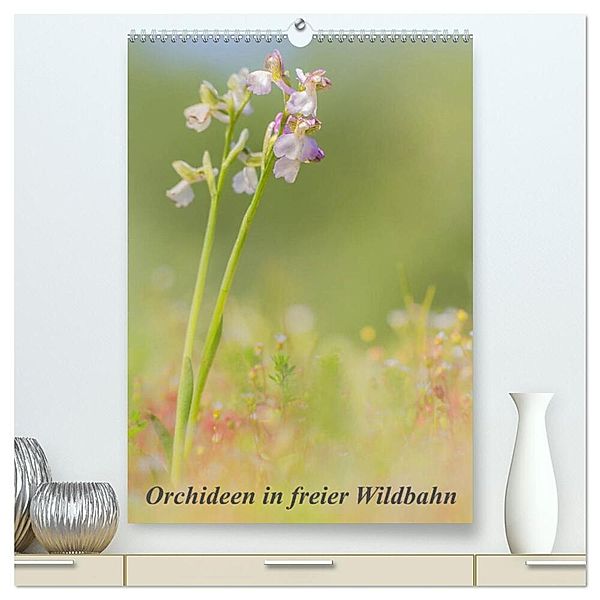 Orchideen in freier Wildbahn (hochwertiger Premium Wandkalender 2024 DIN A2 hoch), Kunstdruck in Hochglanz, Peter Danis