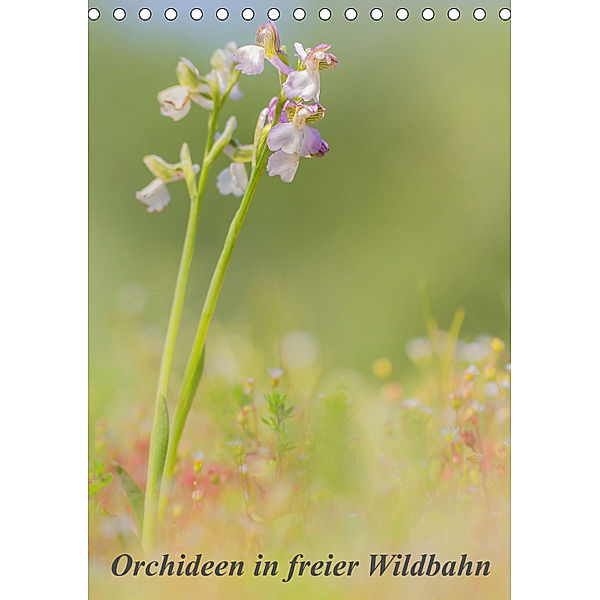 Orchideen in freier Wildbahn (Tischkalender 2019 DIN A5 hoch), Peter Danis