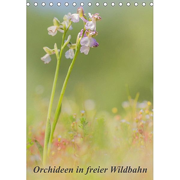 Orchideen in freier Wildbahn (Tischkalender 2020 DIN A5 hoch), Peter Danis