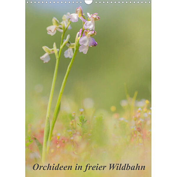 Orchideen in freier Wildbahn (Wandkalender 2022 DIN A3 hoch), Peter Danis