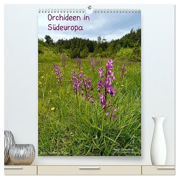 Orchideen in Südeuropa (hochwertiger Premium Wandkalender 2024 DIN A2 hoch), Kunstdruck in Hochglanz, Benny Trapp