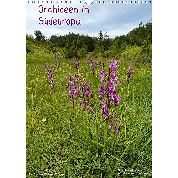 Orchideen in Südeuropa (Wandkalender 2021 DIN A3 hoch), Benny Trapp
