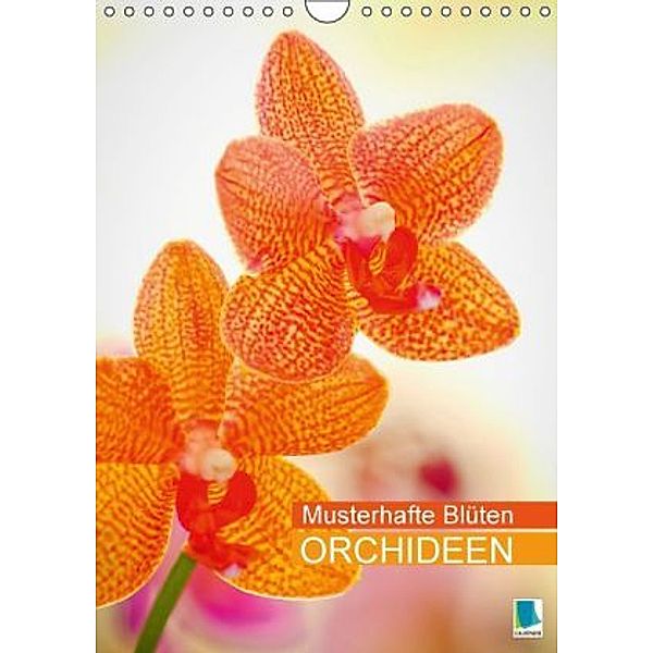 Orchideen: Musterhafte Blüten (Wandkalender 2016 DIN A4 hoch), Calvendo