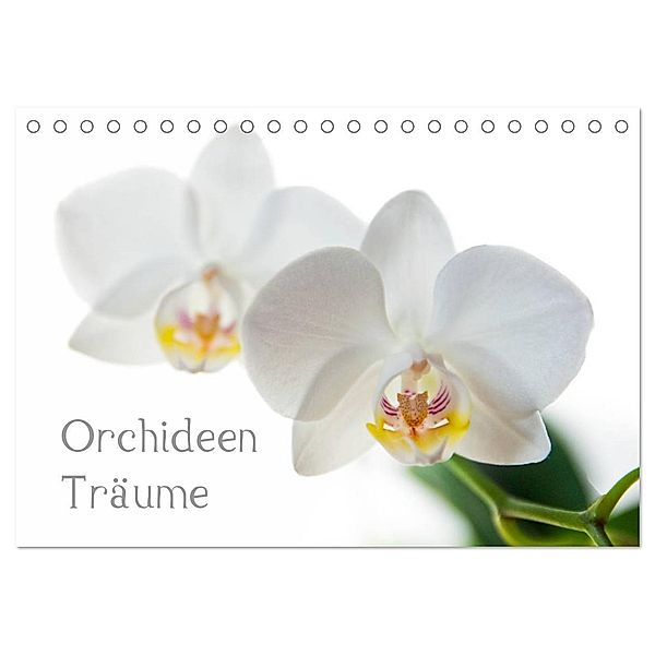 Orchideen Träume (Tischkalender 2024 DIN A5 quer), CALVENDO Monatskalender, hannes cmarits