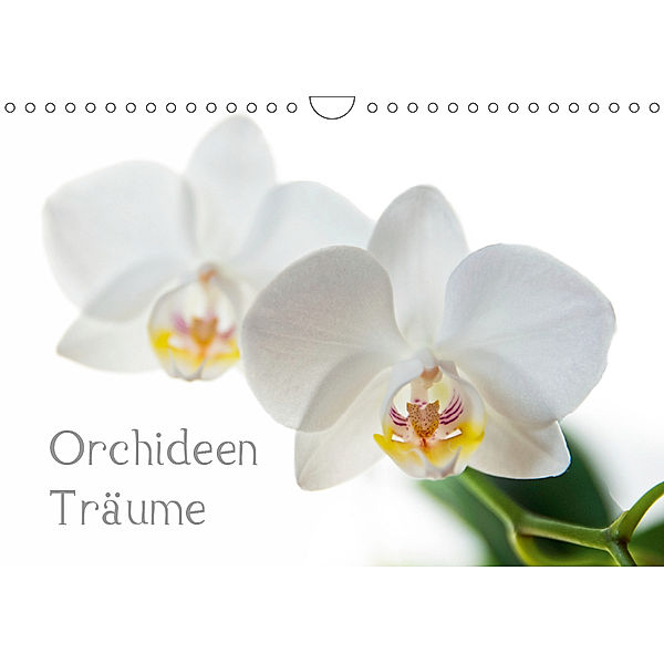 Orchideen Träume (Wandkalender 2019 DIN A4 quer), Hannes Cmarits