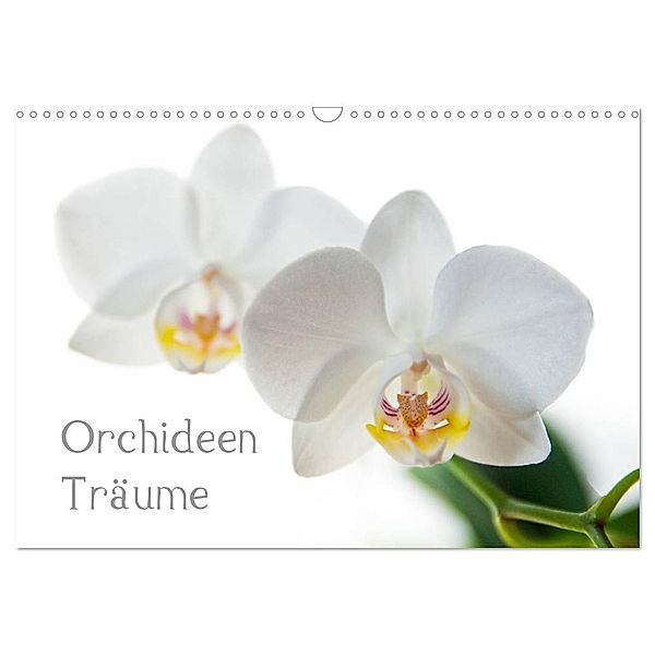 Orchideen Träume (Wandkalender 2024 DIN A3 quer), CALVENDO Monatskalender, hannes cmarits