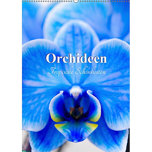 Orchideen - Tropische Schönheiten (Wandkalender 2019 DIN A2 hoch), Nina Schwarze