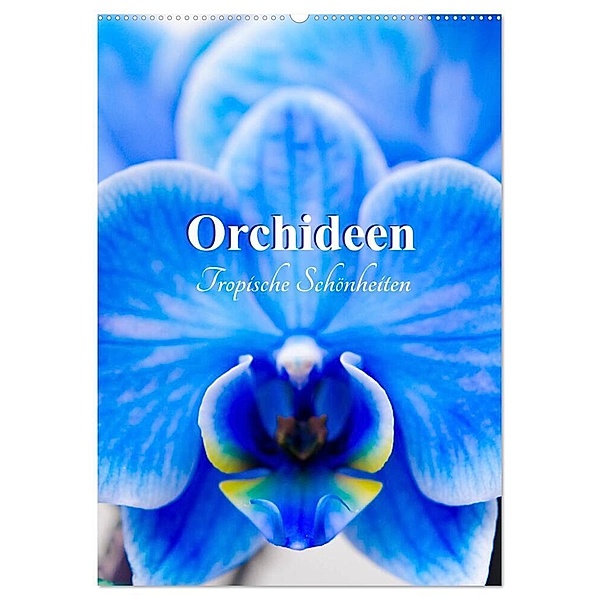 Orchideen - Tropische Schönheiten (Wandkalender 2024 DIN A2 hoch), CALVENDO Monatskalender, Nina Schwarze