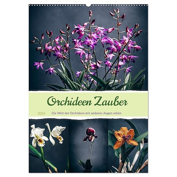 Orchideen Zauber (Wandkalender 2024 DIN A2 hoch), CALVENDO Monatskalender, Steffen Gierok-Latniak