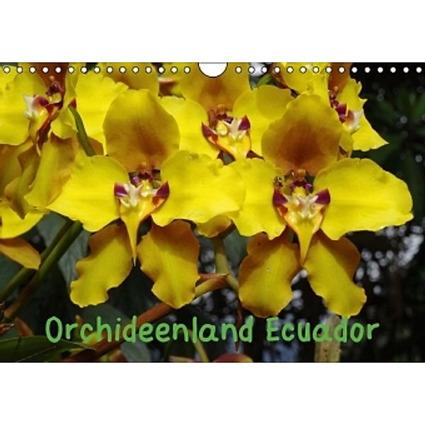 Orchideenland Ecuador (Wandkalender 2016 DIN A4 quer), Klaus Kettler