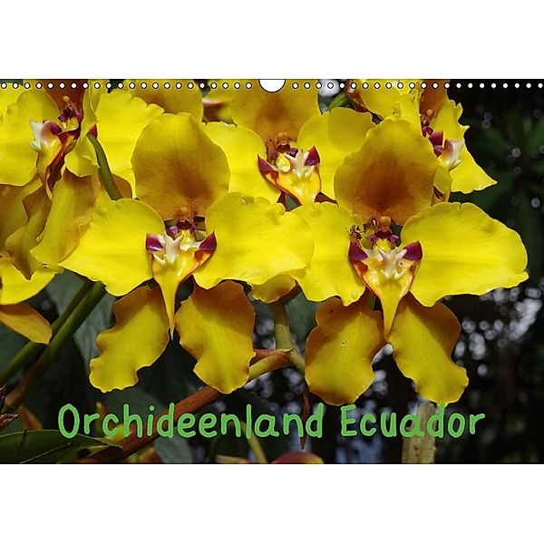 Orchideenland Ecuador (Wandkalender 2018 DIN A3 quer) Dieser erfolgreiche Kalender wurde dieses Jahr mit gleichen Bilder, Klaus Kettler