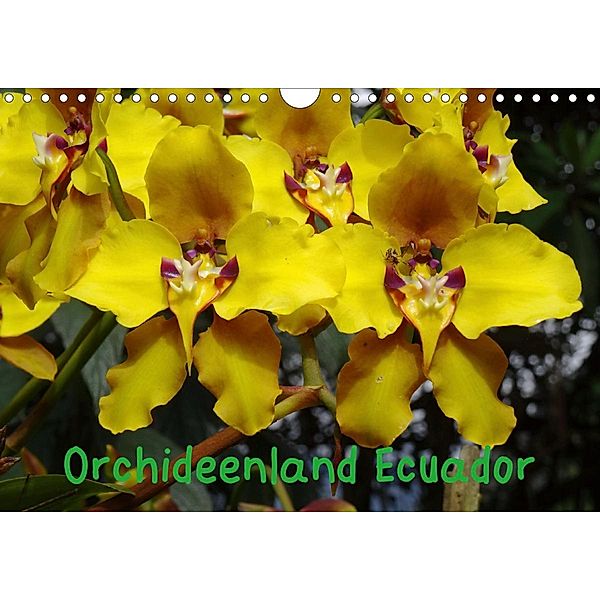 Orchideenland Ecuador (Wandkalender 2020 DIN A4 quer), Klaus Kettler