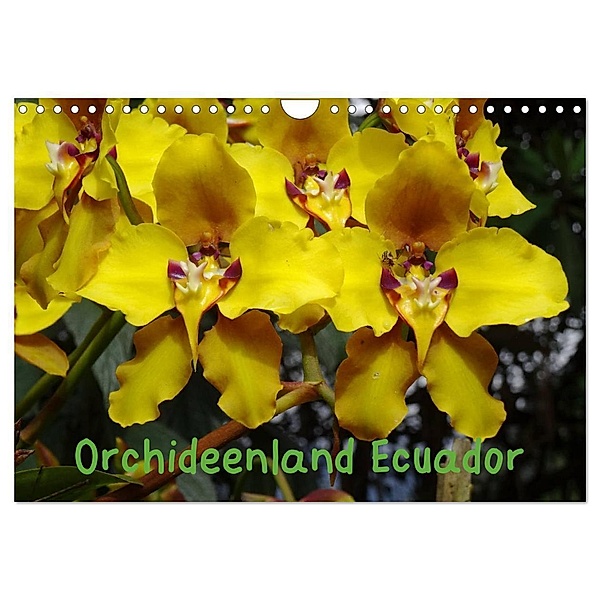 Orchideenland Ecuador (Wandkalender 2024 DIN A4 quer), CALVENDO Monatskalender, Klaus Kettler