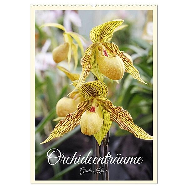 Orchideenträume (Wandkalender 2024 DIN A2 hoch), CALVENDO Monatskalender, Gisela Kruse