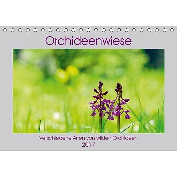 Orchideenwiese 2017 (Tischkalender 2017 DIN A5 quer), Jana Sura