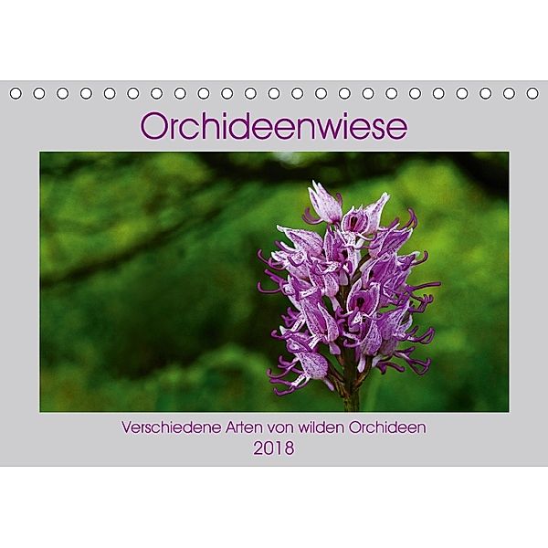 Orchideenwiese 2018 (Tischkalender 2018 DIN A5 quer) Dieser erfolgreiche Kalender wurde dieses Jahr mit gleichen Bildern, Jana Sura