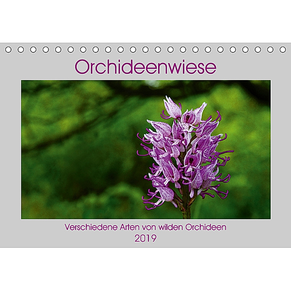 Orchideenwiese 2019 (Tischkalender 2019 DIN A5 quer), Jana Sura