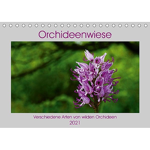 Orchideenwiese 2021 (Tischkalender 2021 DIN A5 quer), Jana Sura
