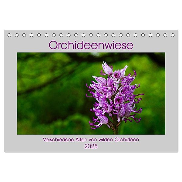 Orchideenwiese 2025 (Tischkalender 2025 DIN A5 quer), CALVENDO Monatskalender, Calvendo, Jana Sura