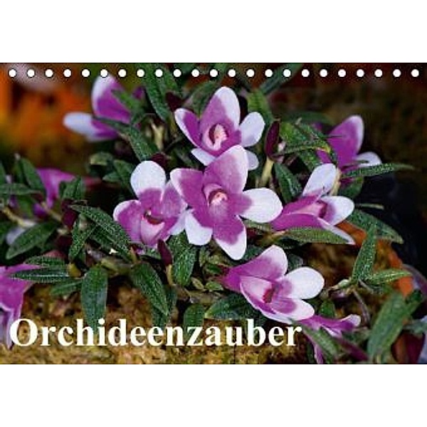 Orchideenzauber (Tischkalender 2016 DIN A5 quer), Eerika Schulz