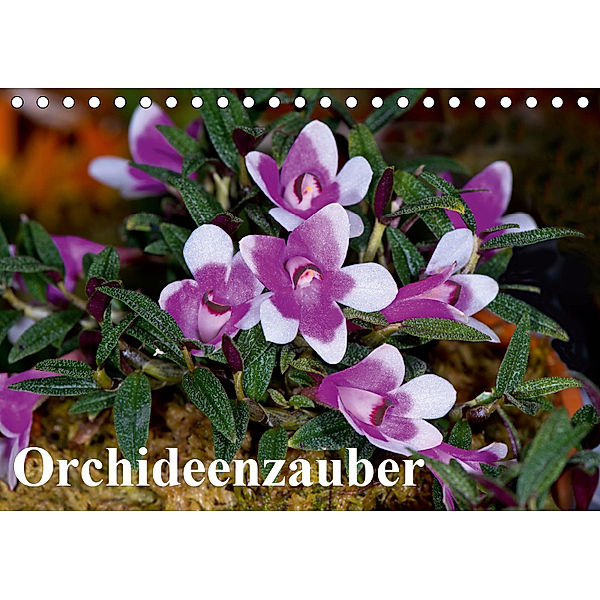 Orchideenzauber (Tischkalender 2019 DIN A5 quer), Eerika Schulz