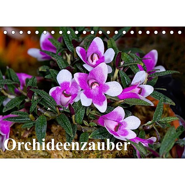 Orchideenzauber (Tischkalender 2023 DIN A5 quer), Eerika Schulz