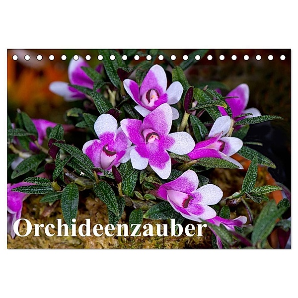 Orchideenzauber (Tischkalender 2024 DIN A5 quer), CALVENDO Monatskalender, Eerika Schulz